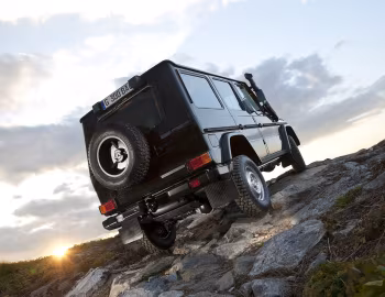 Mercedes-Benz G 300 CDI Professional [Worldwide] (Br.461) '2010–13