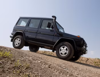 Mercedes-Benz G 300 CDI Professional [Worldwide] (Br.461) '2010–13