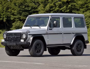 Mercedes-Benz G 300 CDI Professional [Worldwide] (Br.461) '2010–13