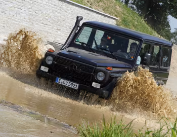 Mercedes-Benz G 300 CDI Professional [Worldwide] (Br.461) '2010–13