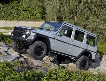 Mercedes-Benz G 300 CDI Professional [Worldwide] (Br.461) '2010–13