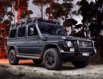 Mercedes-Benz G 300 CDI Professional [Australia] (Br.461) '2017–22