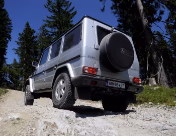 Mercedes-Benz G 320 CDI (Br.463) '2009–12