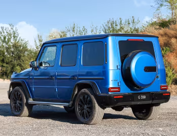 Mercedes-Benz G 350 [China] (Br.463) '2020–22