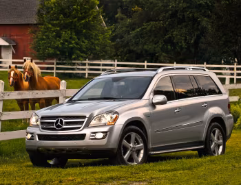 2009 Mercedes-Benz GL 320 [North America] (X164) '2008–09