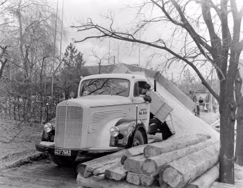 Mercedes-Benz L 6600 K Dreiseiten-Kipper (L 304) '1950–54