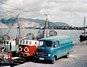 Mercedes-Benz L 319 Kastenwagen (L 319) '02.1957–68