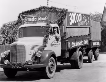 Mercedes-Benz L 3500 Pritschenwagen (311) '1950–54