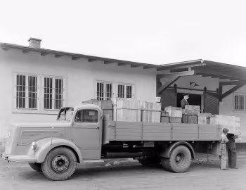 Mercedes-Benz L 6600 Pritschenwagen (L 304) '1950–54