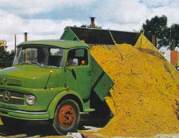 Mercedes-Benz LK 322 Dreiseitenkipper (Br.322) '1959–63