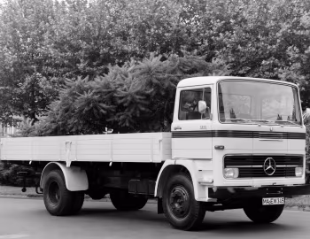 Mercedes-Benz LP 1213 Pritschenwagen (Br.352) '1965–67