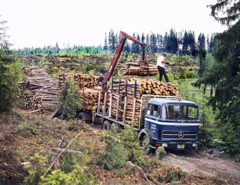 Mercedes-Benz LP 2232 6×4 Timbertruck [Finland] (Br.363) '1971–????
