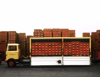 Mercedes-Benz LPS 813 '1973–77