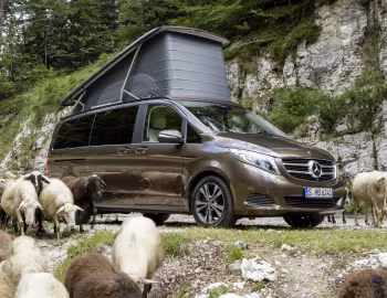 Mercedes-Benz Marco Polo 250 BlueTEC (W447) '2015–19