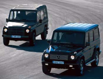 Mercedes-Benz G-Class, Mercedes-Benz 250 GD Wolf gl
