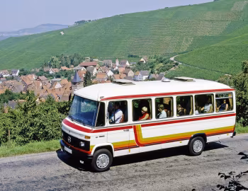 Mercedes-Benz O 309 (Br.313) '1981–86