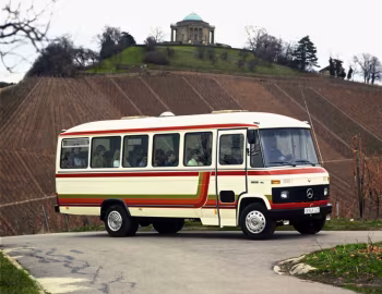Mercedes-Benz O 309 (Br.313) '1981–86