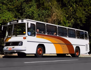 Mercedes-Benz O 364 101 городской '1984