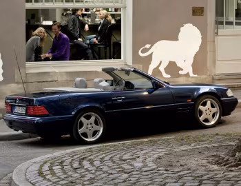 Mercedes-Benz SL 500 [Worldwide] (R129) '1995–98