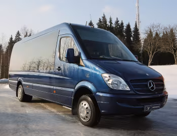 Mercedes-Benz Sprinter Tamlans Pegabus (Br.906) '2008–13