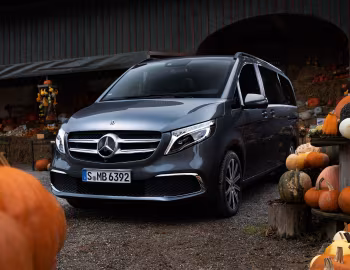 Halloween, Mercedes-Benz V 300 d Exclusive Line