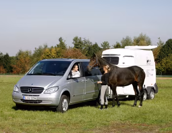 Mercedes-Benz Viano 4MATIC (Br.639) '2006–10
