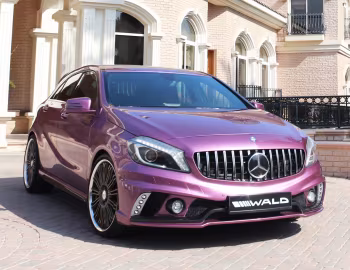 WALD Mercedes-Benz A-Klasse Sports Line Black Bison Edition (W176) '2013–15
