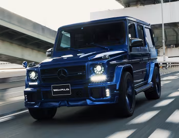 WALD Mercedes-AMG G 63 Sports Line Black Bison Edition (W463) '2016–18