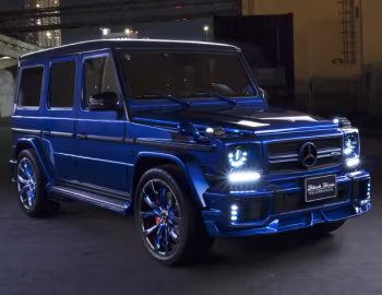 WALD Mercedes-AMG G 63 Sports Line Black Bison Edition (W463) '2016–18