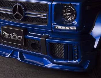 WALD Mercedes-AMG G 63 Sports Line Black Bison Edition (W463) '2016–18