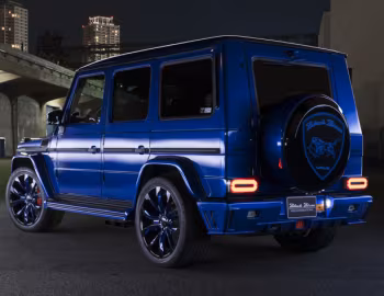 WALD Mercedes-AMG G 63 Sports Line Black Bison Edition (W463) '2016–18