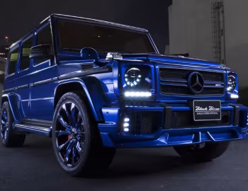 WALD Mercedes-AMG G 63 Sports Line Black Bison Edition (W463) '2016–18