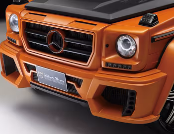 WALD Mercedes-Benz G-Klasse Sports Line Black Bison Edition (Br.463) '2012–13