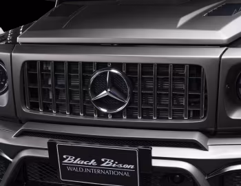 WALD Mercedes-Benz G-Klasse Sports Line Black Bison Edition (Br.463) '2019