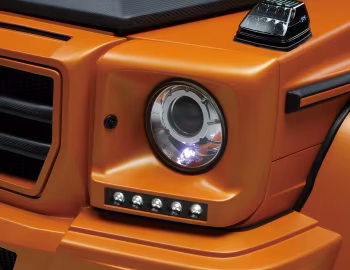 WALD Mercedes-Benz G-Klasse Sports Line Black Bison Edition (Br.463) '2012–13