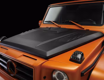 WALD Mercedes-Benz G-Klasse Sports Line Black Bison Edition (Br.463) '2012–13