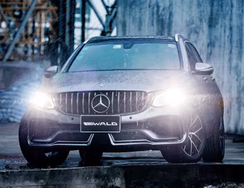 WALD Mercedes-Benz GLC-Klasse Black Bison Edition [China] (X253) '2018–19