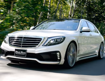 WALD Mercedes-Benz S-Klasse Sports Line Black Bison Edition (W222) '2013–17