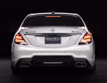 WALD Mercedes-Benz S-Klasse Sports Line Black Bison Edition (W222) '2019–20