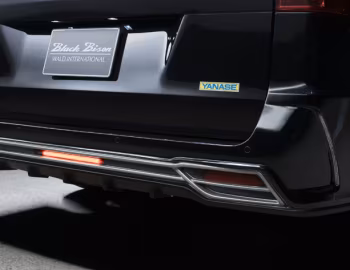 WALD Mercedes-Benz V-Klasse Sports Line Black Bison Edition (Br.447) '2019–23