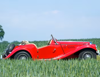 MG TF '1953–55