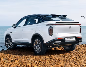 MG Whale [Middle East] '2024–pr.