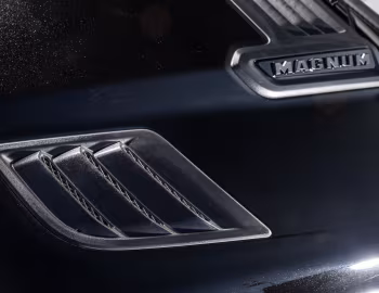 Militem Magnum '2019–н.ч.