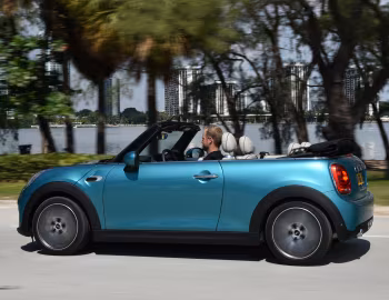 Mini Cooper Cabrio [Worldwide] (F57) '2015–18