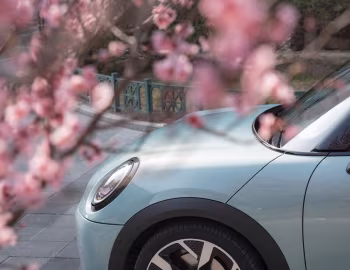 MINI Cooper S [China] (F66) '2024–н.в.