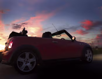 Mini Cooper S Cabrio [South Africa] (R52) '2004–08