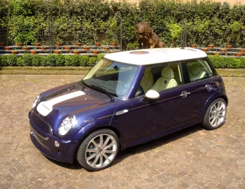 MINI Cooper S "Sassicaia" (R53) '2005
