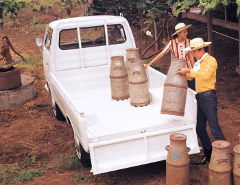 Mitsubishi Delica 75 Pickup Deluxe '10.1971–10.1974