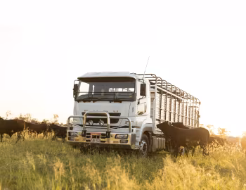 Mitsubishi Fuso Super Great FV [Australia] '2013–н.в.