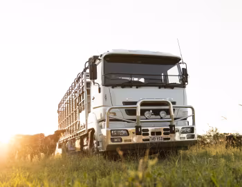 Mitsubishi Fuso Super Great FV [Australia] '2013–н.в.